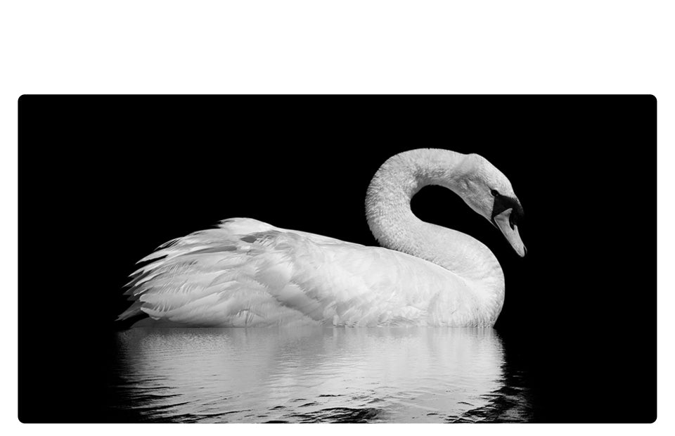 doogee.com